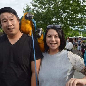 Meet your Posher, Elisabeth